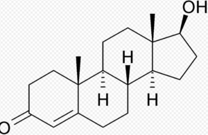 testosterone-molecule