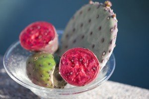 Nopalea cactus fruit