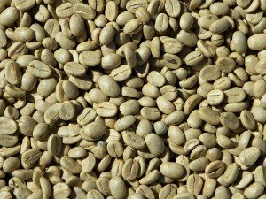 Green coffee bean weight loss review does it work