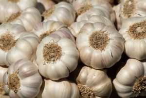garlic-heart-disease-vs-kyolic