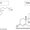 Vitamin D Testosterone