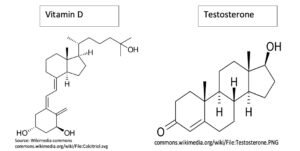 Vitamin D Testosterone