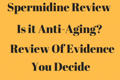 spermidine-review