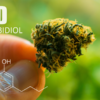 CBD review