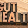gut health supplements