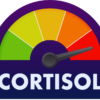 High Cortisol